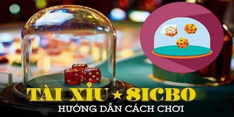 Cách chơi tài xỉu trực tuyến dễ hiểu cho tân binh