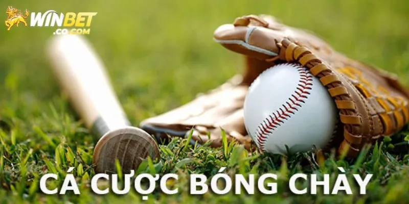 Tổng hợp kèo cá cược bóng chày siêu hấp dẫn