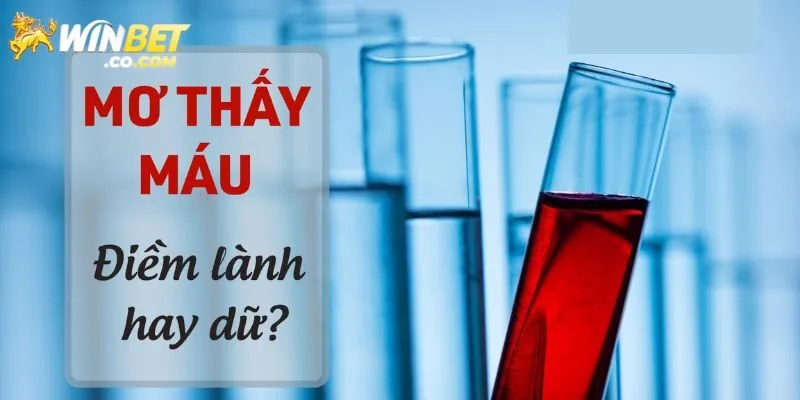 Giải mã mơ thấy máu đánh con gì nhận thưởng?