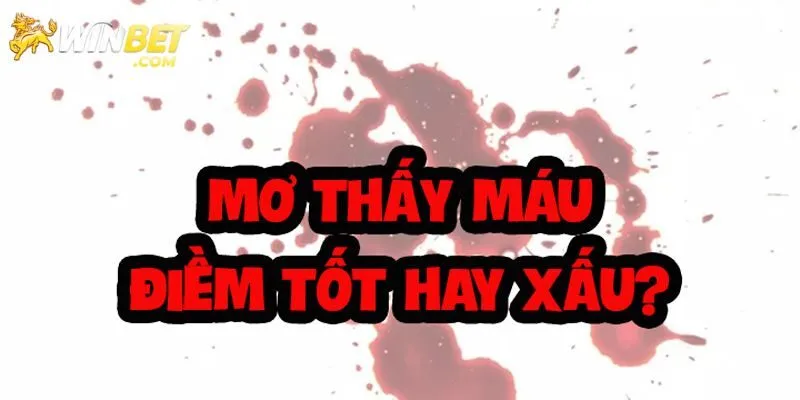 Ngủ mê người khác đánh nhau chảy huyết