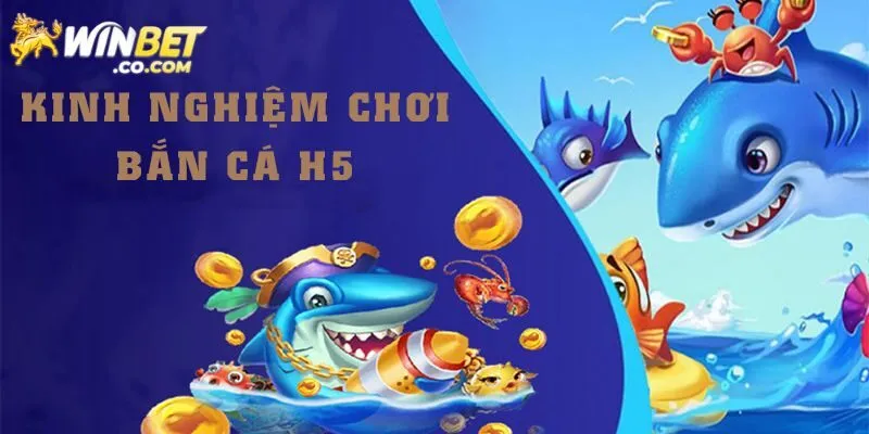 Bí quyết săn cá H5 luôn thắng